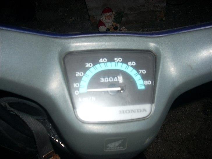Honda Wallaroo Solgt billede 5