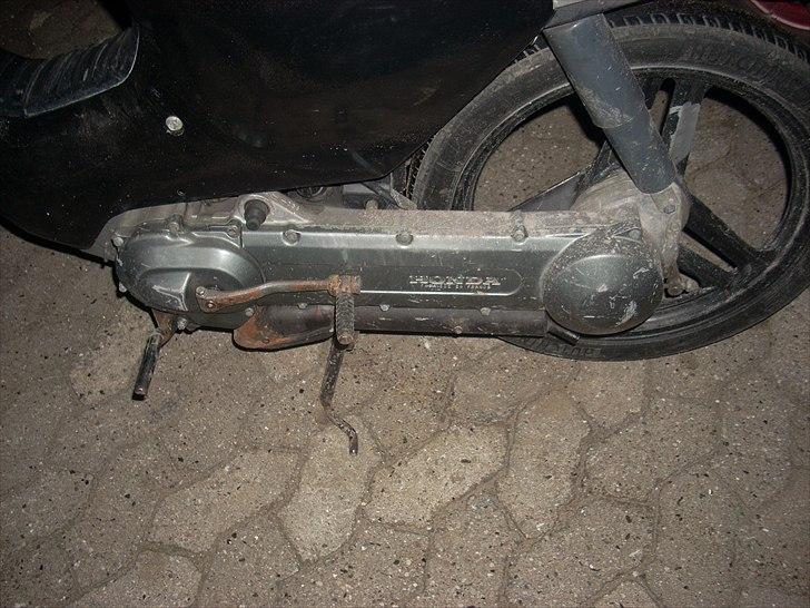 Honda Wallaroo Solgt billede 6
