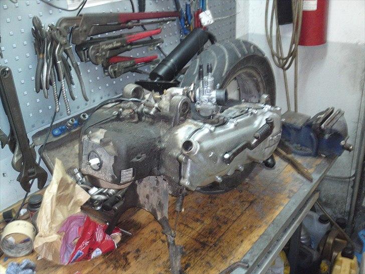 PGO dr big billede 19