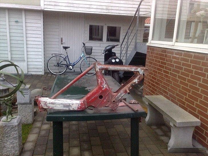 Puch Maxi (solgt) billede 4