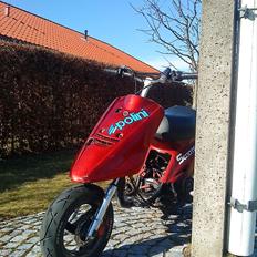 Yamaha Jog Fs Evo byttet