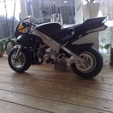 Polini 911 dreambike