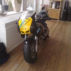 Polini 911 dreambike