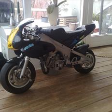 Polini 911 dreambike