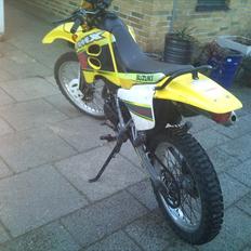 Suzuki rmx/smx