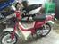 Suzuki Fz 50