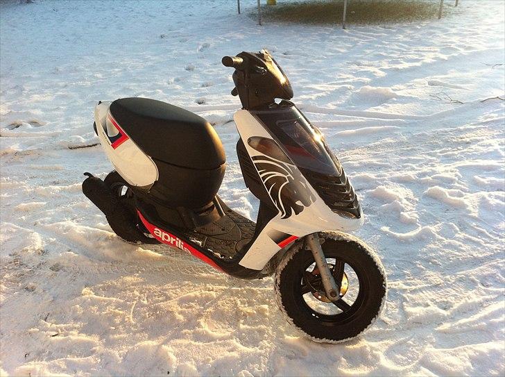 Aprilia Sonic STD  billede 1