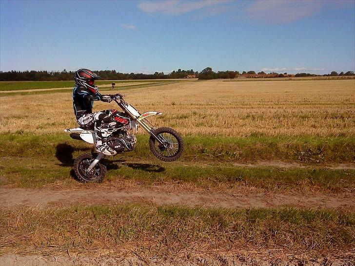 Kayo KLX-S  ( PRO BIKE ) (solgt) billede 11