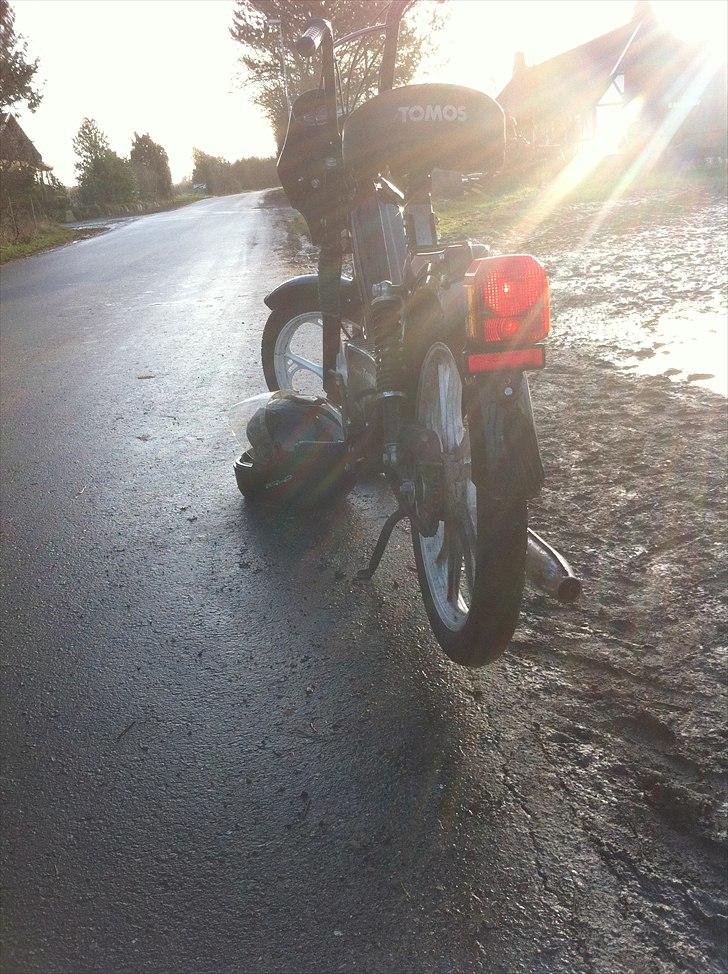 Tomos Quadro A35 billede 7