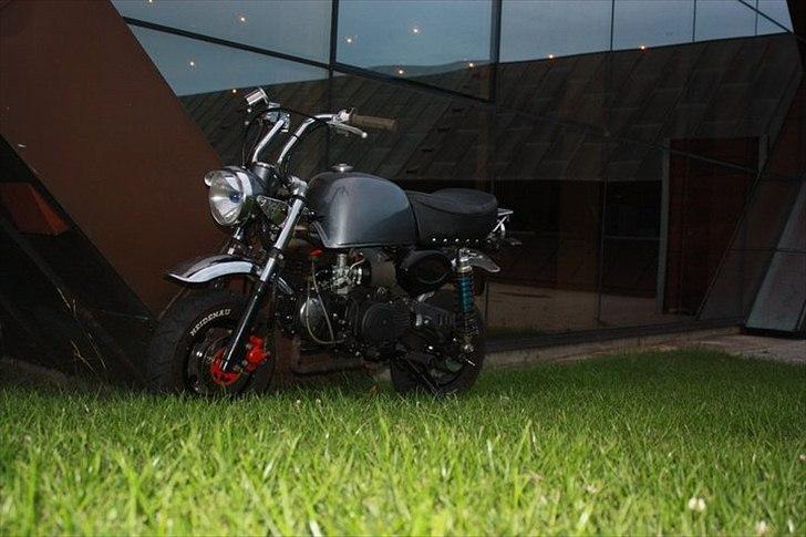 Skyteam Gorilla 140cc  billede 5