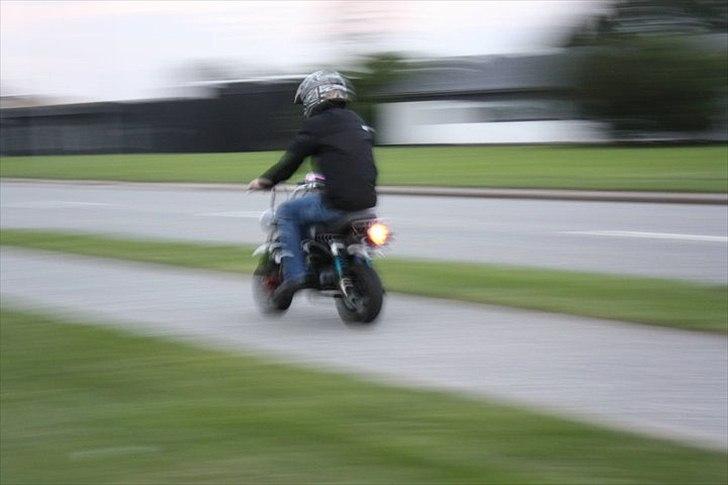 Skyteam Gorilla 140cc  billede 8