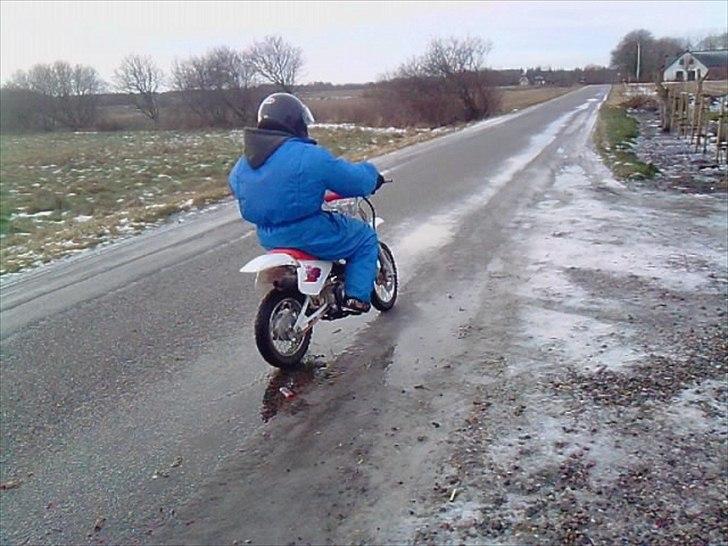 MiniBike blueberry billede 1