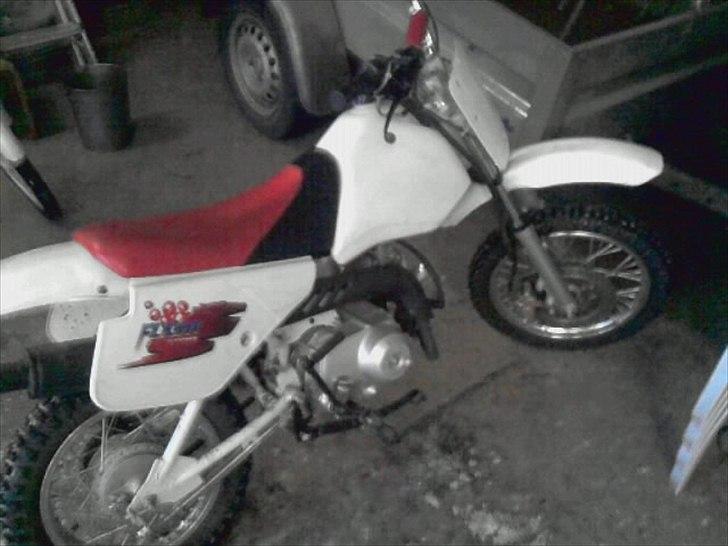 MiniBike blueberry billede 5