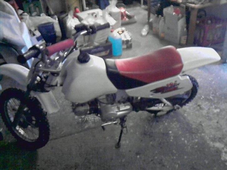 MiniBike blueberry billede 6