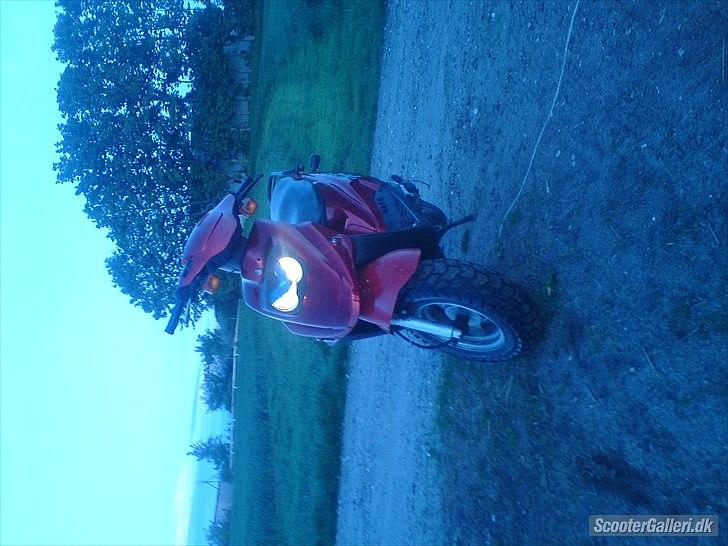 PGO Hot50 Solgt billede 3