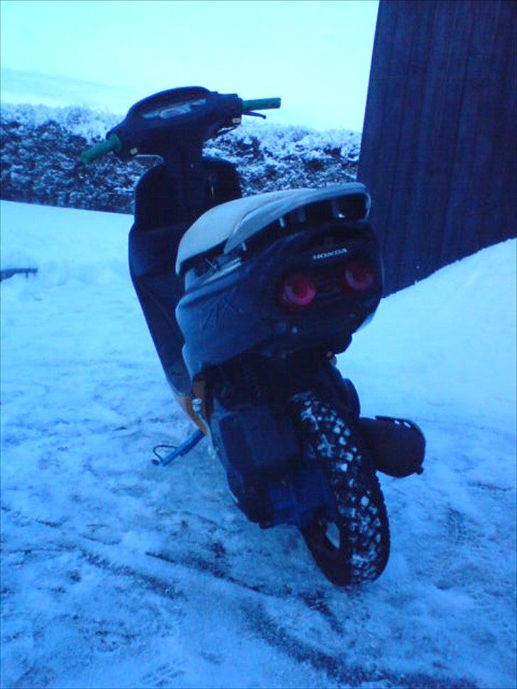 Honda SFX  billede 13