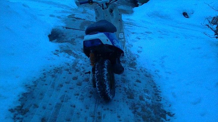 PGO Hot 50  billede 5