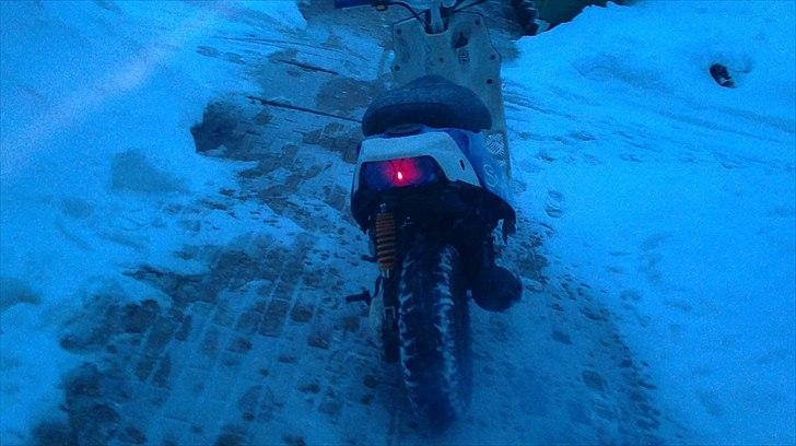 PGO Hot 50  billede 11