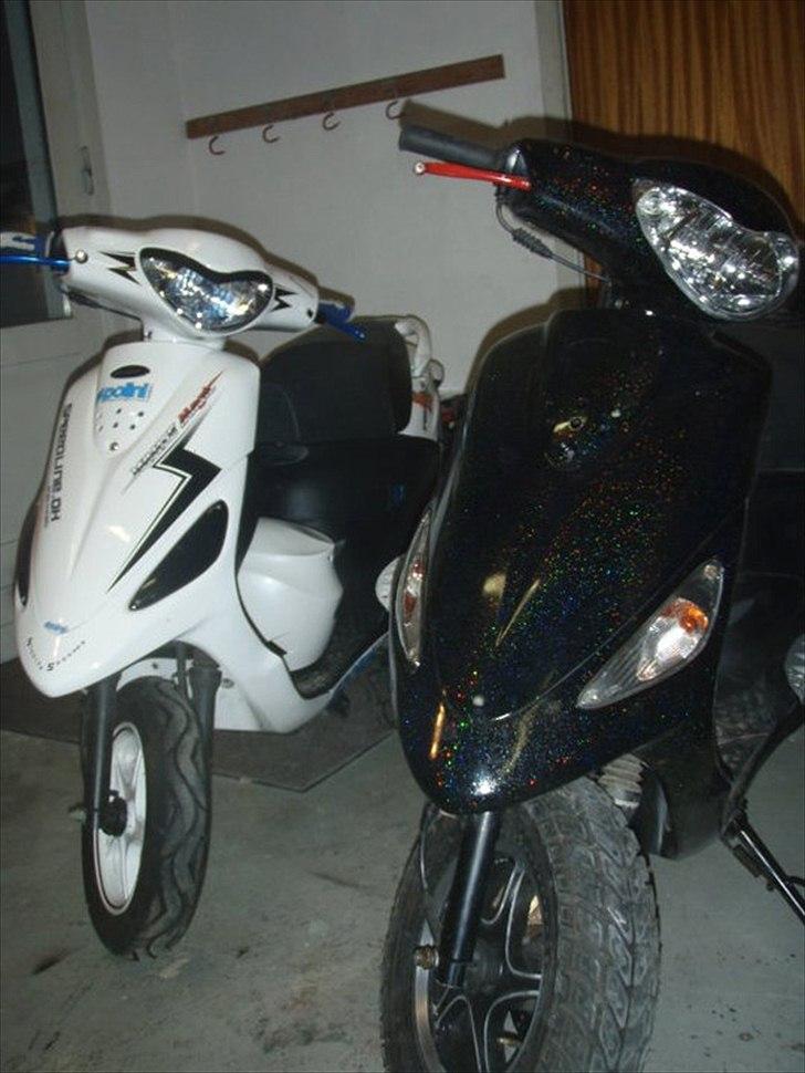 PGO Black Magic (Maggie)Efter - nye billeder ko´mmer snart :D billede 1