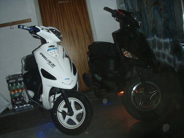 PGO Black Magic (Maggie)Efter billede 3