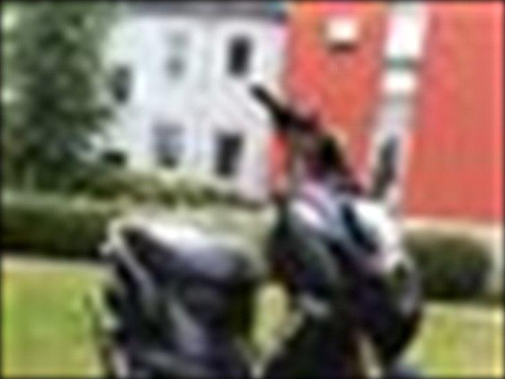 PGO X-Hot  TILSALG  billede 13