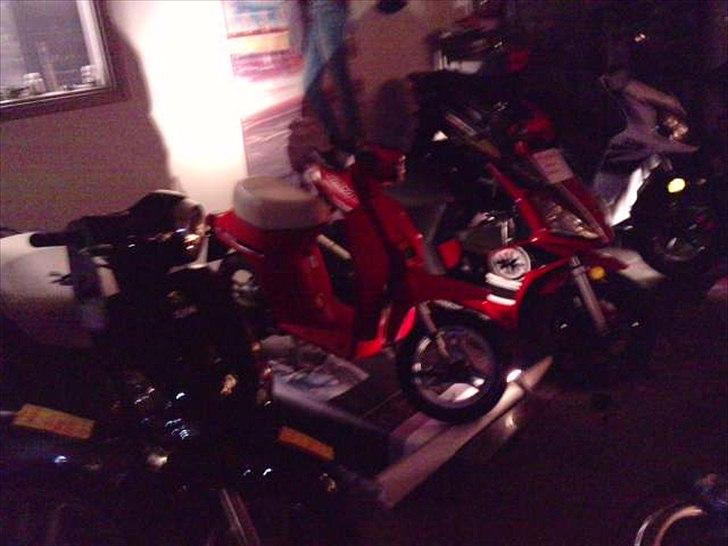 Honda melody billede 8