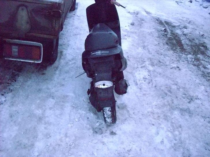 Piaggio zip død lige pt ;( billede 9