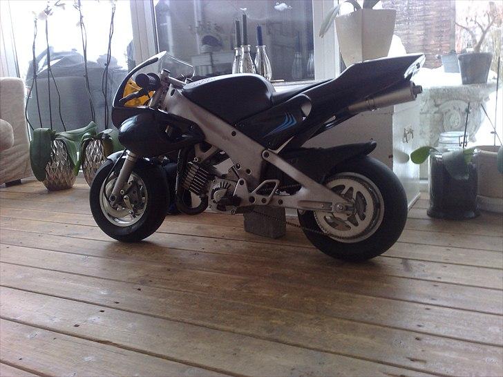 Polini 911 dreambike billede 1