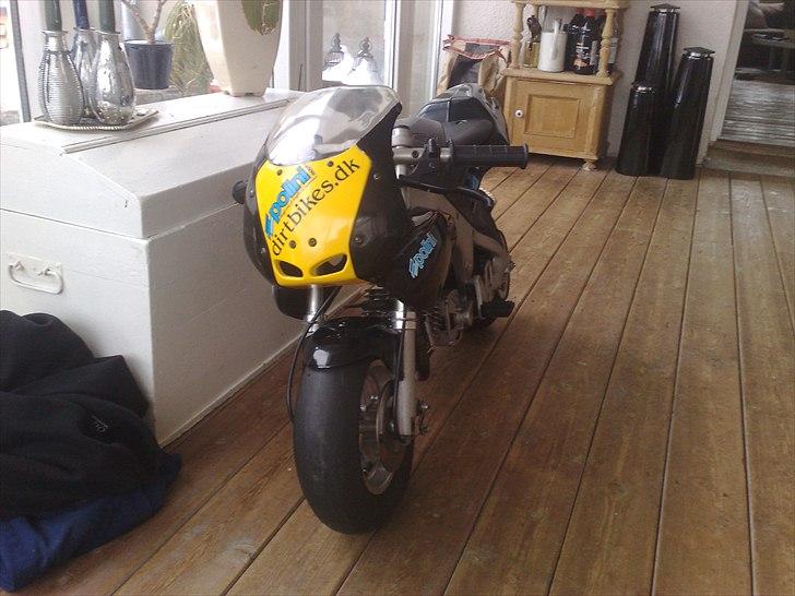 Polini 911 dreambike billede 2