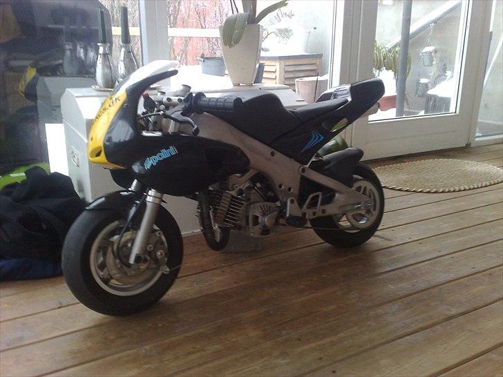 Polini 911 dreambike billede 3