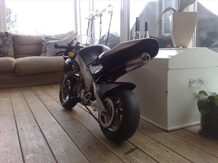 Polini 911 dreambike billede 4