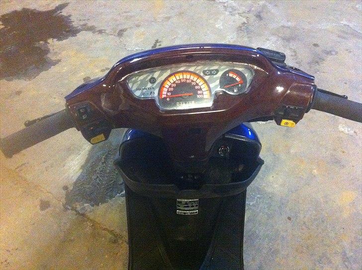 Honda SFX STD (solgt) billede 5