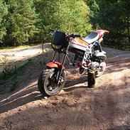 Suzuki street magic offroad