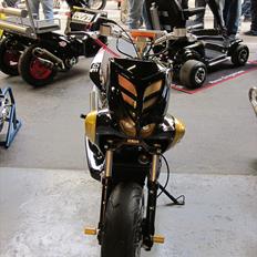 Yamaha Slider TS LC DD