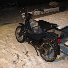 Piaggio piaggio vespa GRILLO