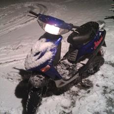 Adly Silverfox ' Solgt!!