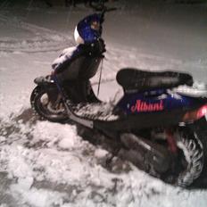 Adly Silverfox ' Solgt!!