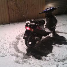 Adly Silverfox ' Solgt!!