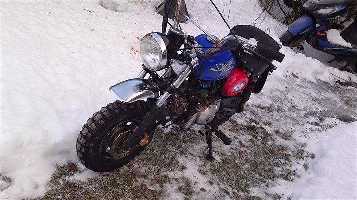 Skyteam Monkey Z 50 J - 2010 billede 19