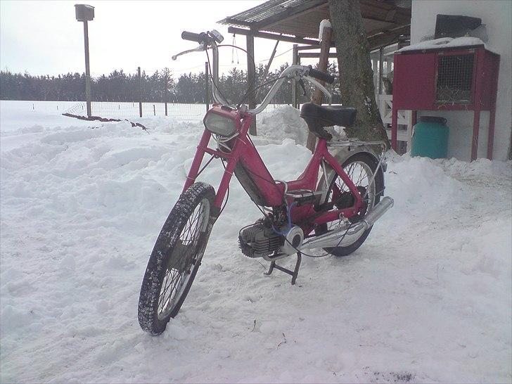 Puch maxi byttet til suzuki billede 12