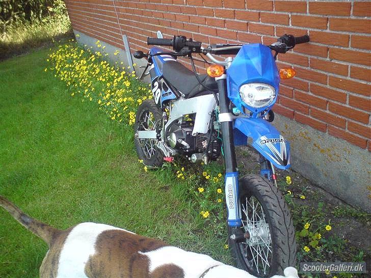 Apollo Orion   dd billede 2