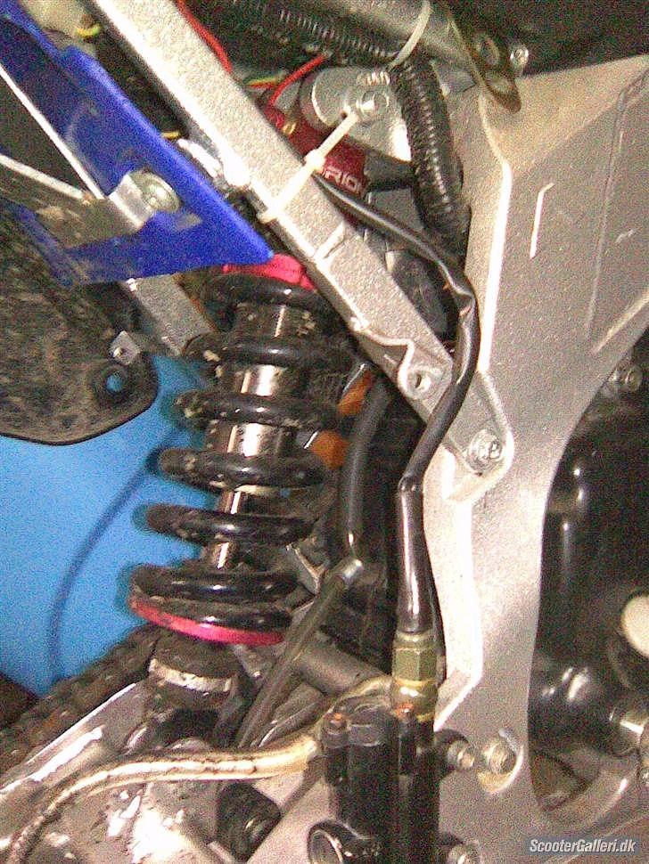 Apollo Orion   dd billede 7