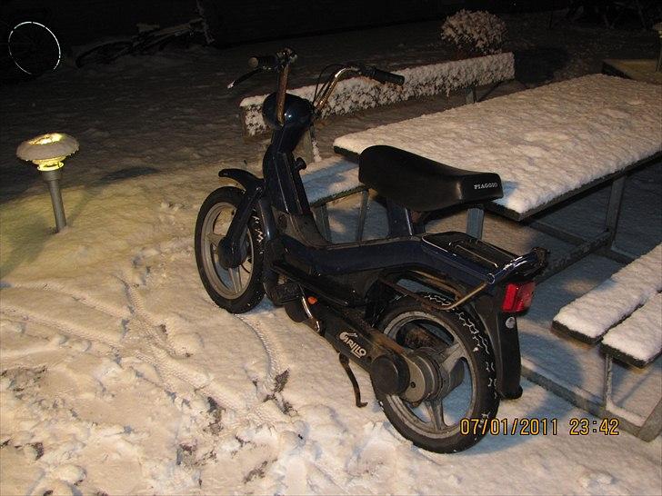 Piaggio piaggio vespa GRILLO billede 1