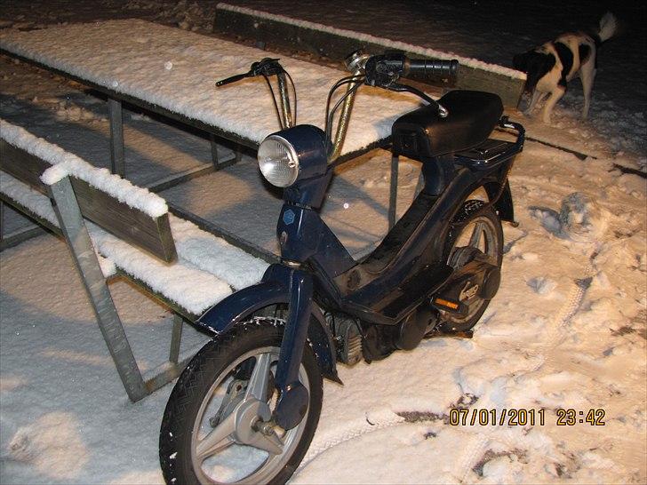 Piaggio piaggio vespa GRILLO billede 2