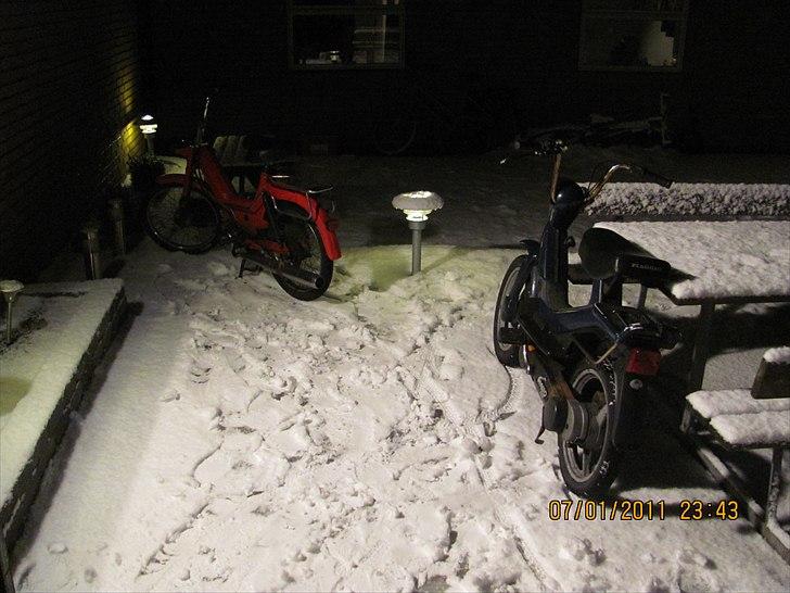 Piaggio piaggio vespa GRILLO billede 7