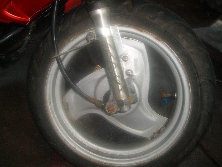 Adly baboon BYTTET TIL JOG billede 5