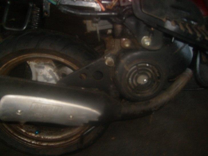 Adly baboon BYTTET TIL JOG billede 6