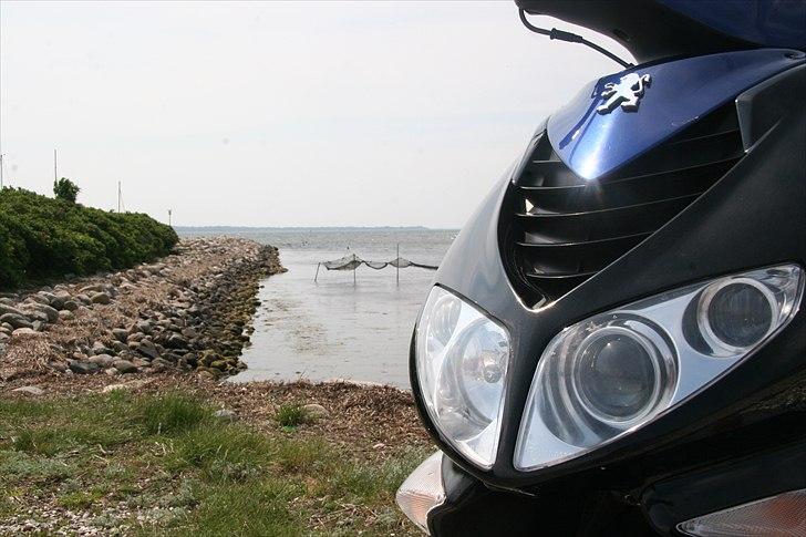 Peugeot Speedfight 2 billede 6