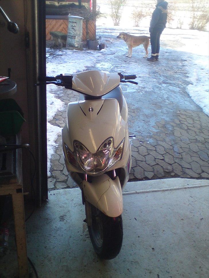 Yamaha jog r  byttet til sonrox billede 18