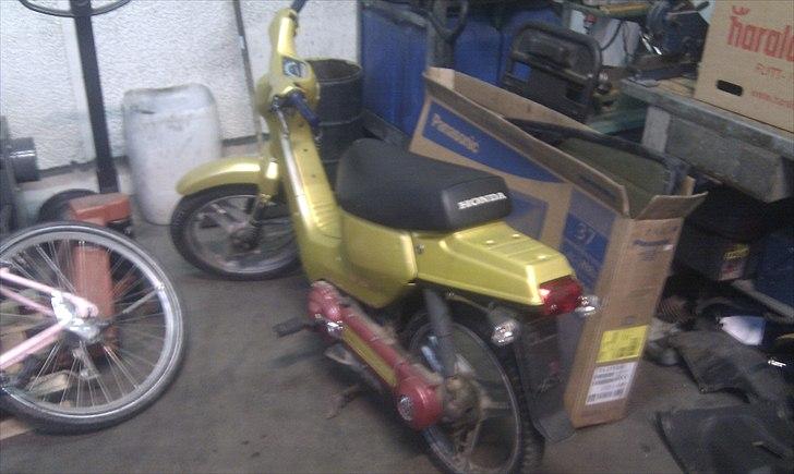 Honda Wallaroo  billede 1